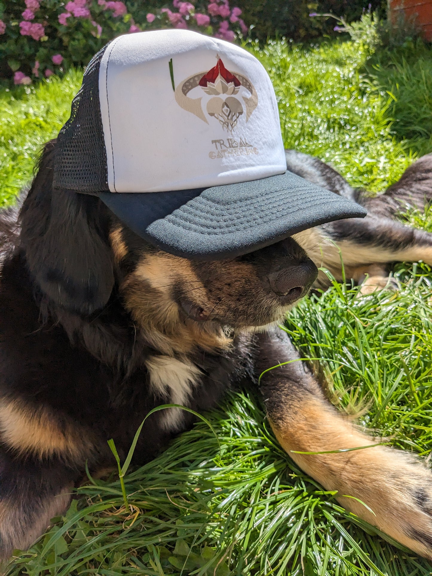 Trucker Hat
